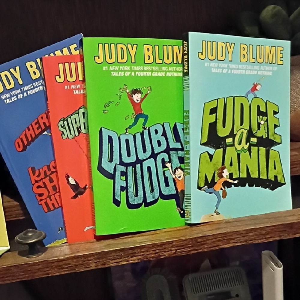 Judy Blue Double Fudge & Fudge-a-Mania Book Set - Bright Green & Light Blue
